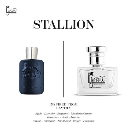 Stallion Inspired By Layton By De Marly